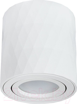 Точечный светильник Arte Lamp Fang A5559PL-1WH