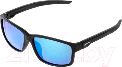 Очки солнцезащитные Nisus N-OP-PF2015-B