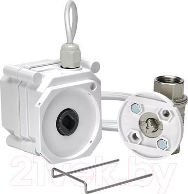 Кран с электроприводом Gidrolock Ultimate Bonomi 220V 3/4" BS