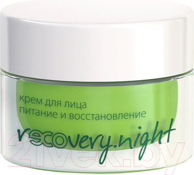 Крем для лица PREMIUM Homework Recovery Night Питание ночной (50мл)