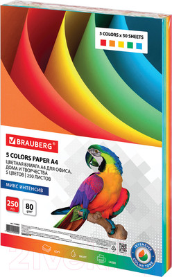 Бумага Brauberg А4 80г/м2 / 112464 (250л, 5цв)