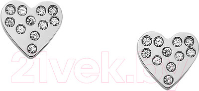 Серьги Skagen SKJ1681040