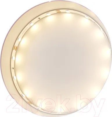 Светодиодная лента Maytoni Led Strip 12В / 20007 (белый)