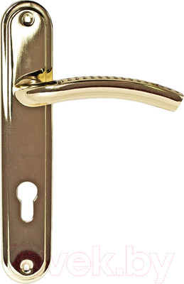 Ручка дверная Trodos AL106/85-M (алюминий, золото)