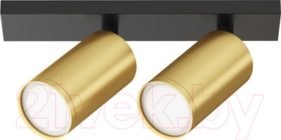 Спот Maytoni Focus S C051CL-U-02BMG