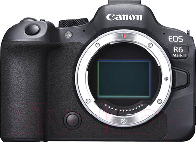 Беззеркальный фотоаппарат Canon EOS R6 Mark II Body / 5666C002