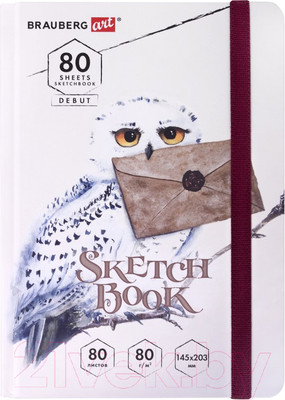 Скетчбук Brauberg Art Debut Хогвартс / 114581 (80л)