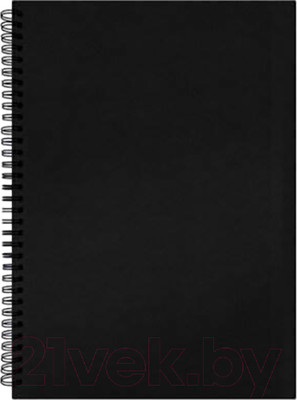 Скетчбук Brauberg Art / 115072 (черный)