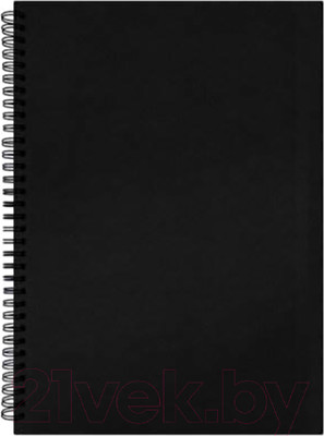 Скетчбук Brauberg 115080 (черный)