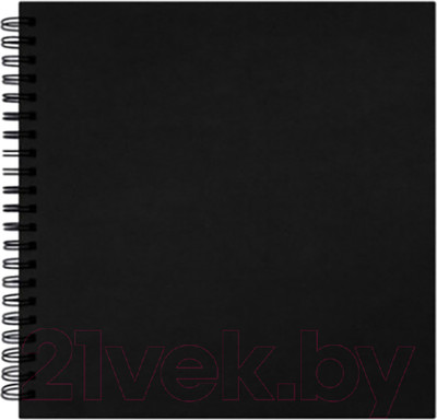 Скетчбук Brauberg Art Classic / 115081 (черный)