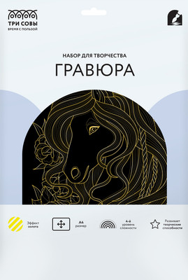 Гравюра Три совы Лошадь в цветах / GA4_48308