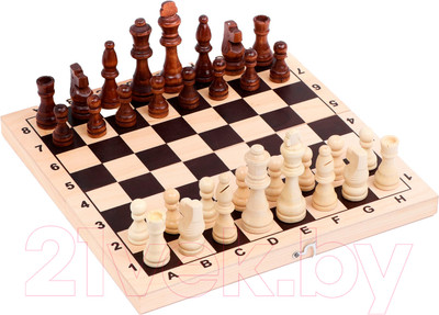 Шахматы Sima-Land Обиходные 4077377
