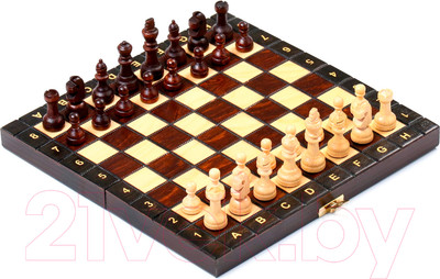 Шахматы Sima-Land 4963450