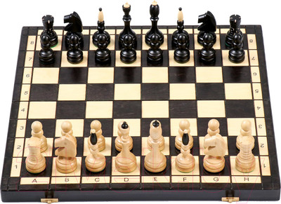 Шахматы Sima-Land Элегантные 9234691