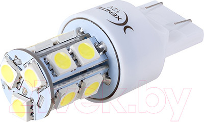 Комплект автомобильных ламп Xenite 1009540 (2шт, белый)