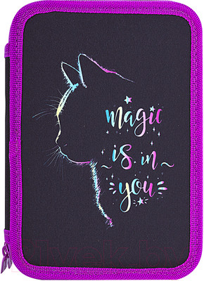 Пенал Brauberg Magic Cat / 271542