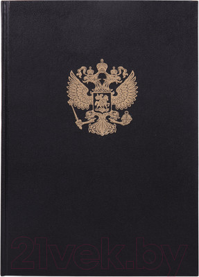 Книга учета Brauberg 130275 (96л, черный)