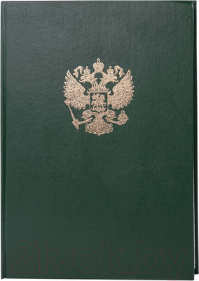 Книга учета Brauberg 130277 (96л, зеленый)