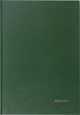 Книга учета Brauberg 130222 (96л, зеленый)