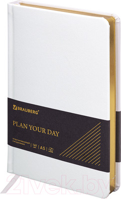 Ежедневник Brauberg Iguana / 114458 (160л, белый)