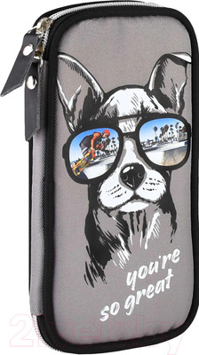 Пенал Феникс+ Собака в очках / 62045
