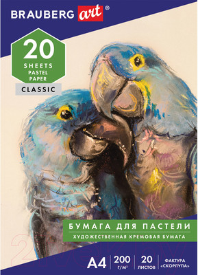 Набор бумаги для рисования Brauberg Art / 126306 (20л)