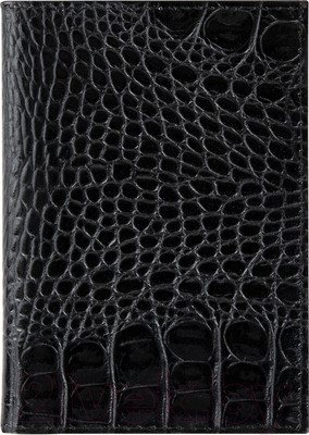 Обложка для автодокументов Brauberg 238189 (черный)