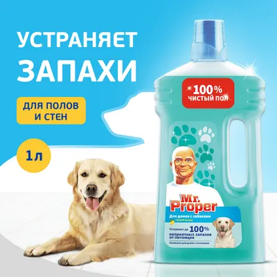 Чистящее средство для пола Mr.Proper Для домов с собаками Свежий цитрус (1л)
