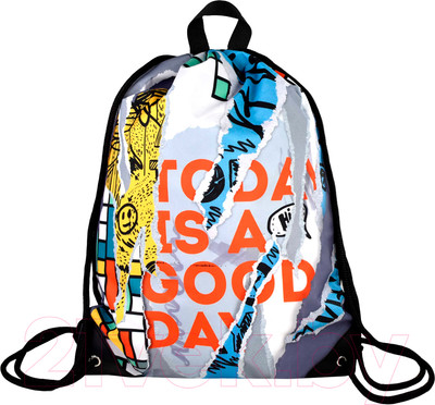 Мешок для обуви Феникс+ Настенная живопись / 62489