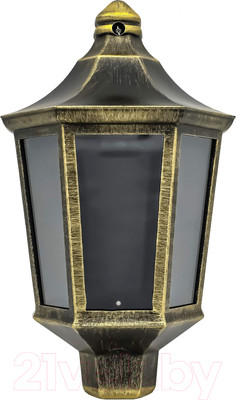 Бра уличное Элект Ника НБУ 06-60-003 У1 (черный под медь)