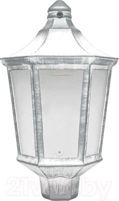 Бра уличное Элект Ника НБУ 06-60-003 У1 (белый под серебро)