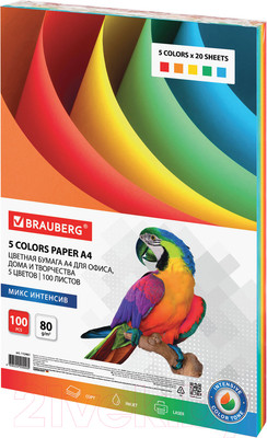 Бумага Brauberg А4 80 г/м2 / 112461 (100л, 5цв)