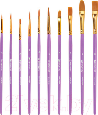 Набор кистей Brauberg Синтетика / 201029 (10шт)