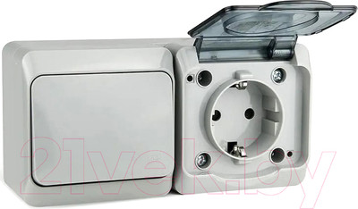 Блок выключатель+розетка Tokov Electric ОП Nix / TKE-NX-V1RZ-C06T-IP54