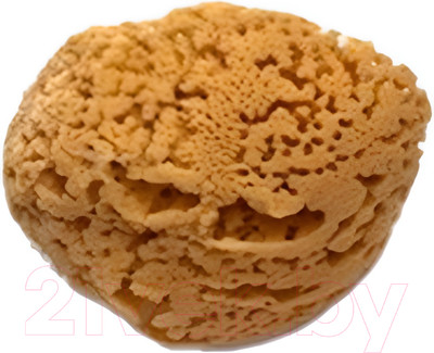 Губка для декоративной штукатурки Stmdecor M87