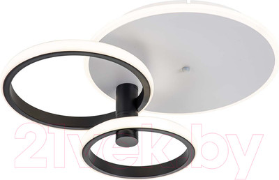 Потолочный светильник ESCADA 10213/2LED BL (белый/черный)