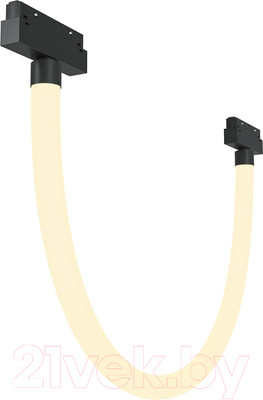Трековый светильник Maytoni Tau TR101-2-20W3K-B