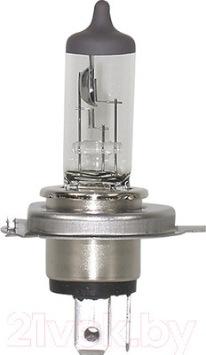 Комплект автомобильных ламп Forch 380111134 (2шт)