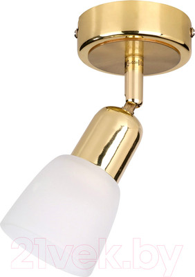 Спот ESCADA 5039/1PA (золото/белый)