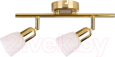 Спот ESCADA 5039/2PA (золото/белый)