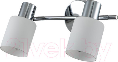 Спот ESCADA 10178/2A