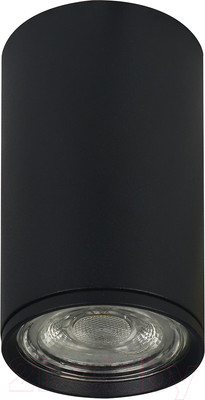Потолочный светильник ESCADA 20001SMU/01 SBK (черный матовый)