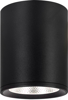 Потолочный светильник ESCADA 20003SMU/02LED SBK (черный матовый)