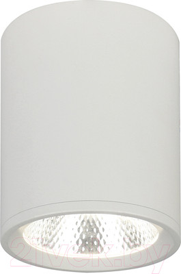 Потолочный светильник ESCADA 20003SMU/02LED SWH (белый матовый)