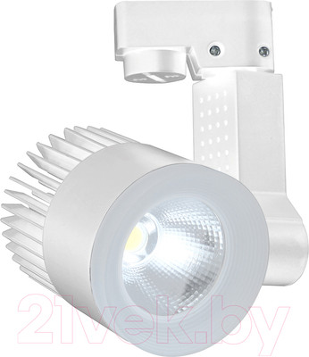 Трековый светильник ESCADA 20030TRA/02LED (белый матовый)