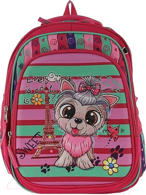 Школьный рюкзак Ecotope 306-7227-PCL (розовый)