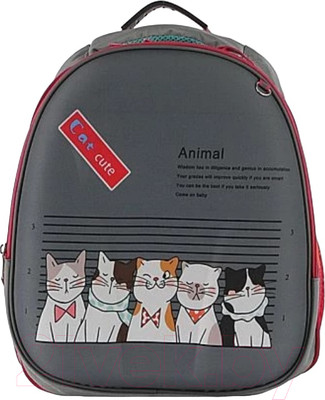 Школьный рюкзак Ecotope 306-7919E-GRY (серый)