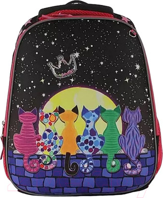 Школьный рюкзак Ecotope 306-8051-DCL (Dark Color)