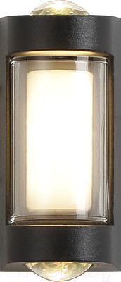 Бра уличное ESCADA 30006W/01LED (черный)