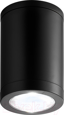 Потолочный светильник ESCADA 30008P/01 (черный)